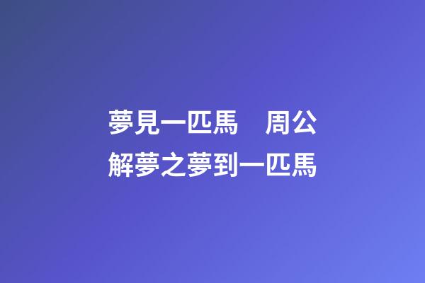 夢見一匹馬　周公解夢之夢到一匹馬